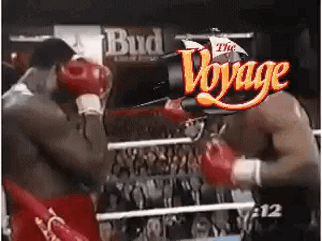 two boxers are fighting in a boxing ring with a budweiser logo in the background