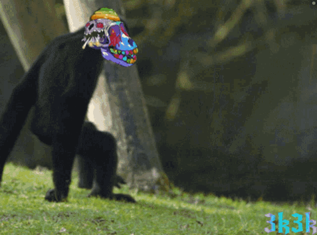 a picture of a monkey with a colorful mask on its head