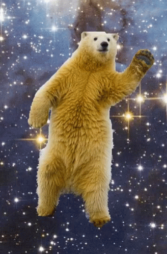 Bear Dancing GIF - Bear Dancing Polar Bear GIFs