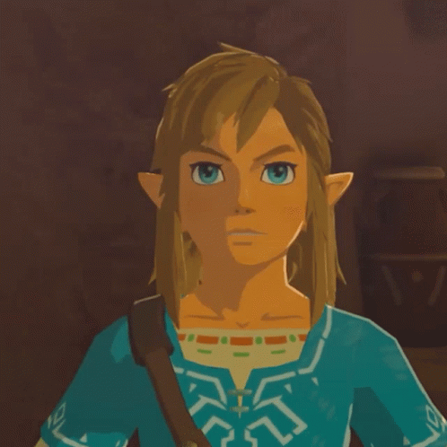 Link Zelda GIF - Link Zelda Surprise GIFs