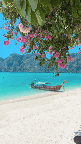 a boat on a beach with flowers in the background