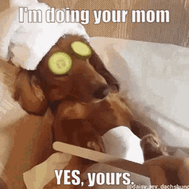 Doing Your Mom Yes Yours GIF - Doing Your Mom Yes Yours Doing GIFs