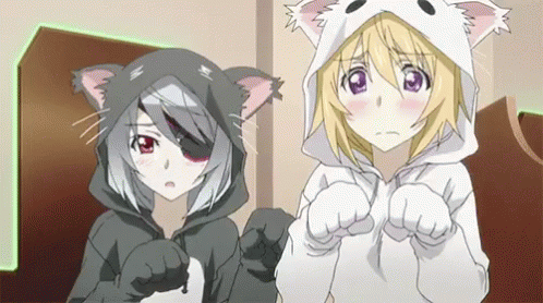Catgirl Anime GIF - Catgirl Anime Cat GIFs