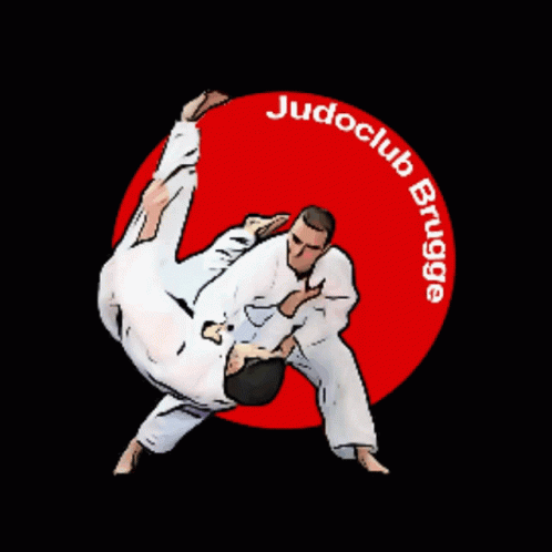 Judobrugge Judoclubbrugge GIF
