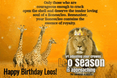 Leo Birthday Lioness GIF - Leo Birthday Lioness Lions GIFs