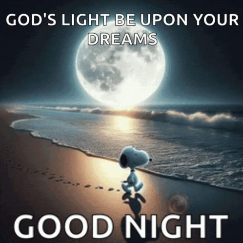 a picture of snoopy on a beach with the words " god 's light be upon your dreams good night "