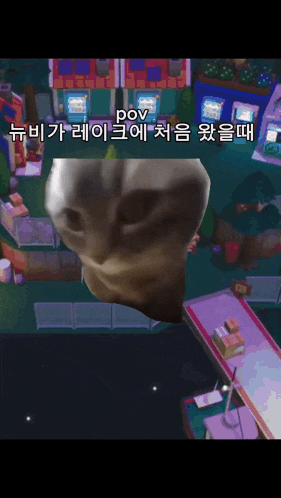 a screenshot of a video game with the words pov on the top