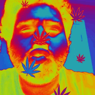 a man with a beard has a marijuana leaf in his mouth