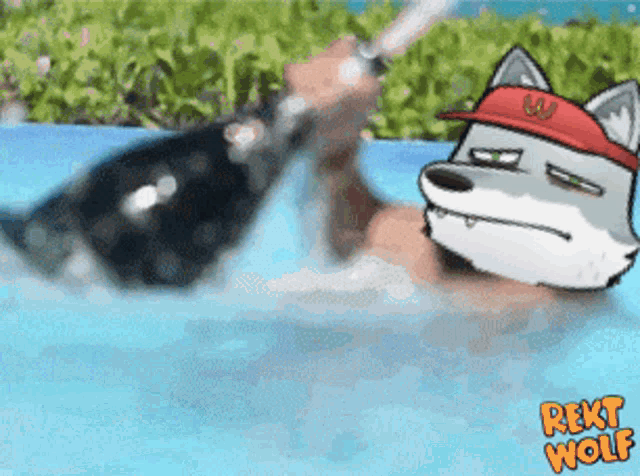 a cartoon of a wolf holding a bottle of champagne