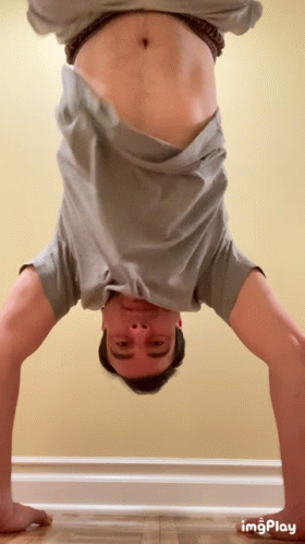 Handstand Abs GIF - Handstand Abs Stomach GIFs