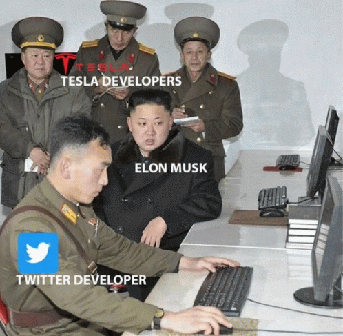 Twitter Developer GIF - Twitter Developer Elon GIFs
