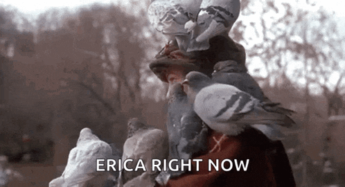 a woman is surrounded by pigeons and the words `` erica right now '' are written above her .