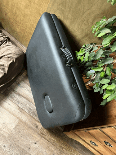 a black suitcase sits on a wooden floor near a plant
