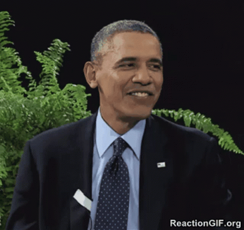 Barack Obama Between Two Ferns GIF - Barack Obama Between Two Ferns Smile GIFs