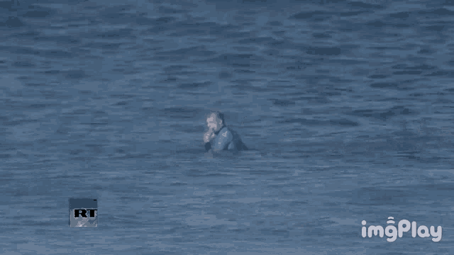 a gif of a person riding a wave with the words imgplay in the lower right corner