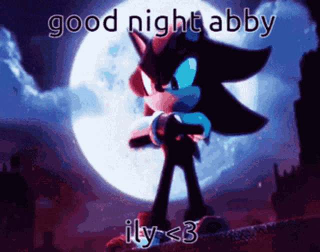 shadow the hedgehog is standing in front of a full moon and says good night abby illy < 3