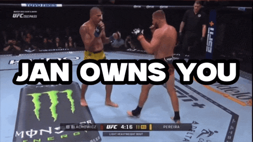 two men are fighting in a boxing ring with the words " jan owns you " above them