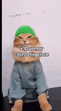 a cat with +10 armor and -5 intelligence is sitting down