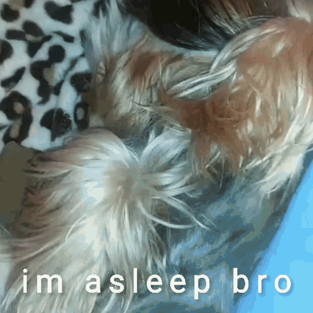 a picture of a dog with the words im asleep bro on the bottom