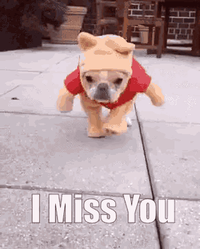 a dog is wearing a winnie the pooh costume and running on the sidewalk .