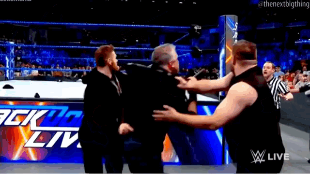 a group of wrestlers are standing in front of a sign that says ' wrestling live '