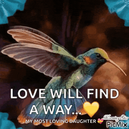 Humming Bird Love Will Find A Way GIF - Humming Bird Love Will Find A Way Heart GIFs