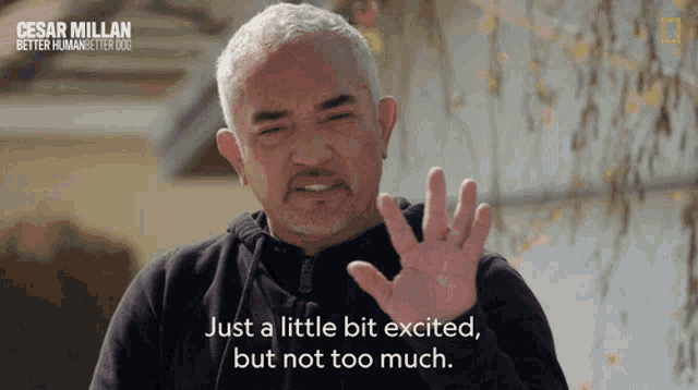 Just A Little Bit Excited But Not Too Much Cesar Millan GIF - Just A Little Bit Excited But Not Too Much Cesar Millan Cesar Millan Better Human Better Dog GIFs