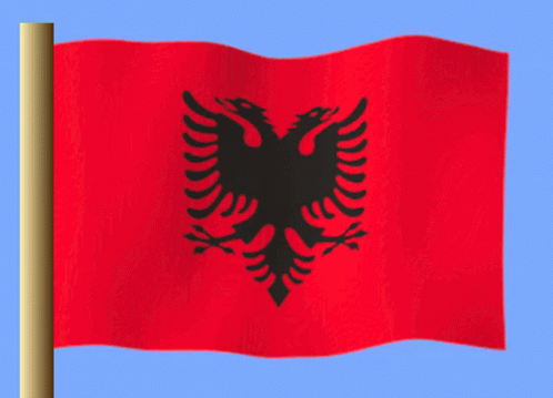 Arnavutluk GIF - Arnavutluk GIFs