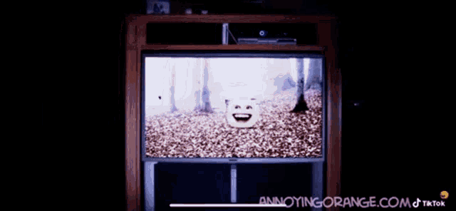 a man is looking at a screen with the website annoyingorange.com written on the bottom