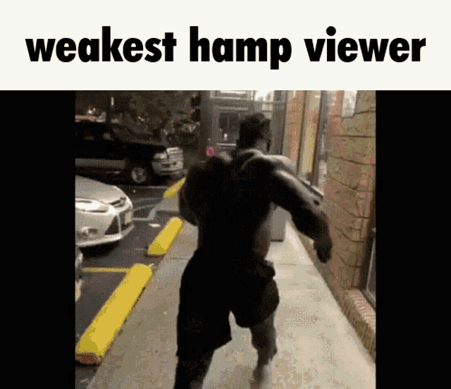 Weakest Hamp Viewer Strongest GIF - Weakest Hamp Viewer Strongest Weakest GIFs