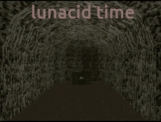 a computer generated image of a skeleton says lunacid time