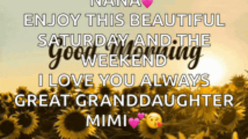 a picture of a field of sunflowers with the words enjoy this beautiful saturday and the good weekend i love you always great granddaughter mimi