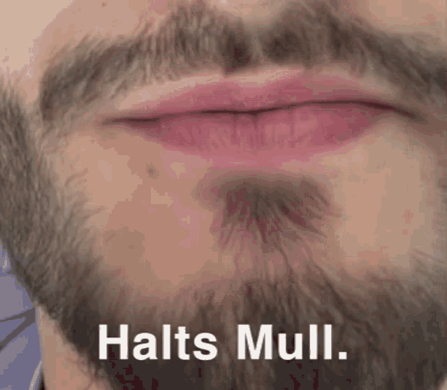a close up of a man 's mouth with the words halts mull written above it
