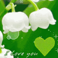a picture of lily of the valley flowers with a green heart and the words i love you