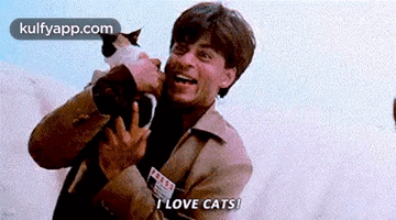 I Love Cats!.Gif GIF - I Love Cats! Shah Rukh Khan Person GIFs