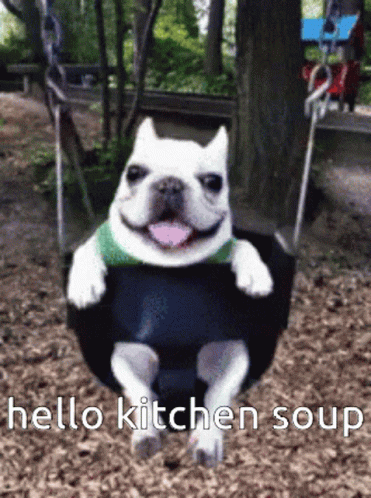 Kitchen Soup Dog Swing GIF - Kitchen Soup Dog Swing GIFs