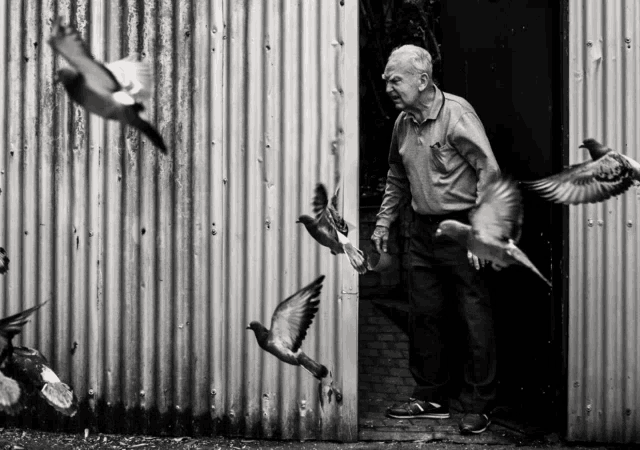 a man standing in a doorway surrounded by birds