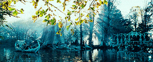 a group of people are riding boats on a lake in a forest .