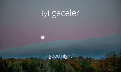 Iyi Geceler Good Night Turkish GIF - Iyi Geceler Good Night Turkish GIFs