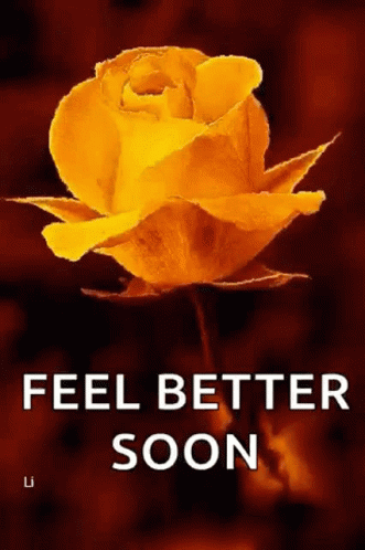 Feel Better Get Well Soon GIF - Feel Better Get Well Soon Flowers GIFs