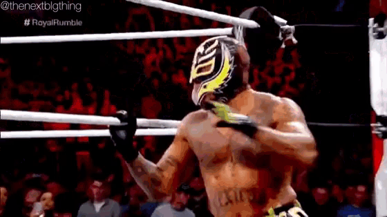 a wrestler wearing a mask and gloves is standing in a ring .