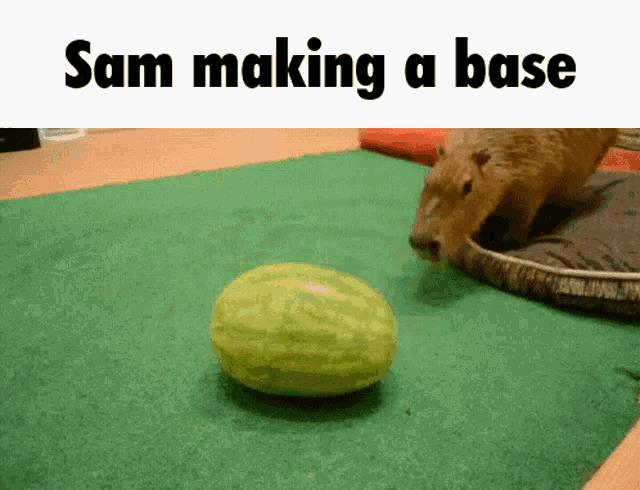 a picture of a watermelon with the words sam making a base above it