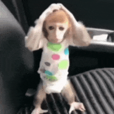 a baby monkey wearing a diaper and a polka dot shirt is sitting on a car seat .