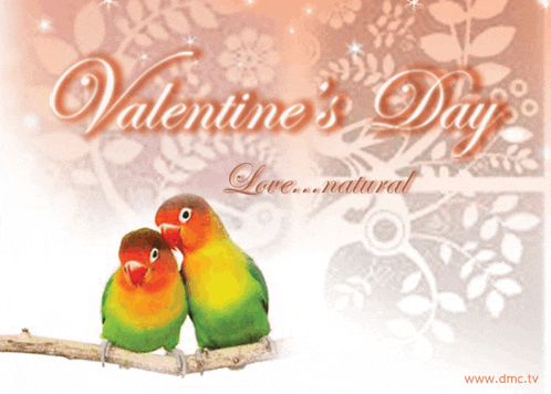 a valentine 's day card with two birds on a tree branch