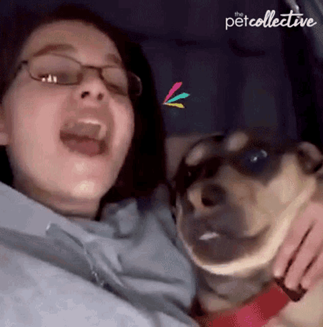 Pet Lover The Pet Collective GIF - Pet Lover The Pet Collective Yawning GIFs