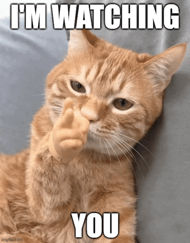 a cat giving the middle finger with the words i 'm watching you below it