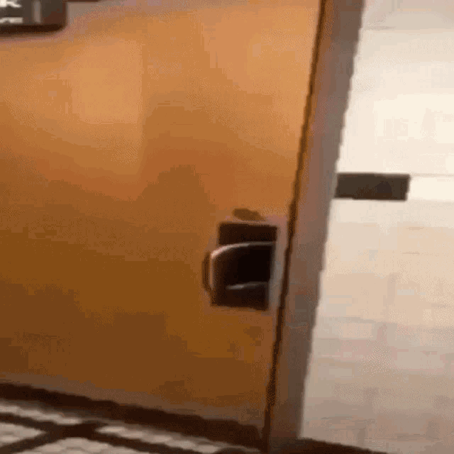 a person is standing in front of a door with a broken handle .