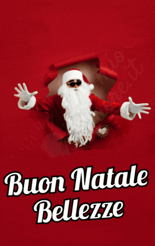 a man wearing sunglasses and a santa hat has a fake beard