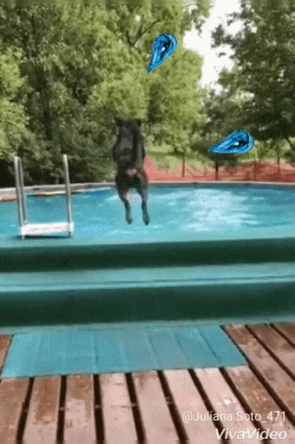 a person is jumping into a swimming pool with balloons flying around them