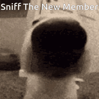 Member New GIF - Member New The GIFs